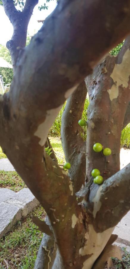 Pousada Guaruja Bombinhas Exterior foto